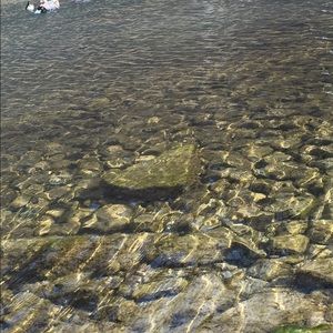 Meet your Posher, Malia