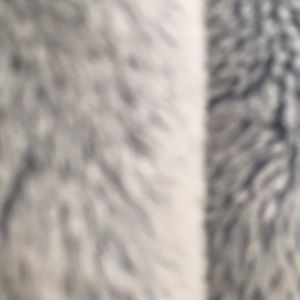 Meet your Posher, Paula