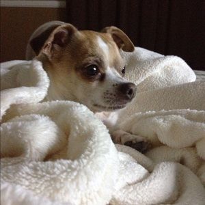 Meet your Posher, Kori