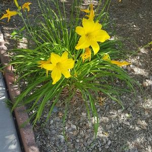 Meet your Posher, Margaret