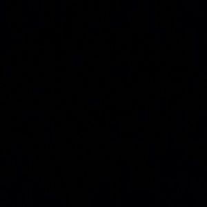 Meet your Posher, Tasha