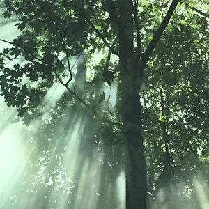 Meet your Posher, Ajia