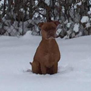 Meet your Posher, Stephen