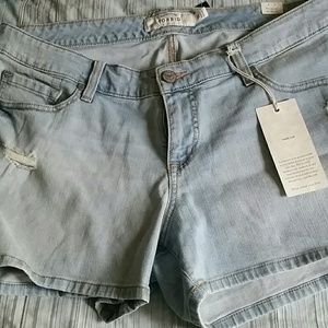 Torrid shorts