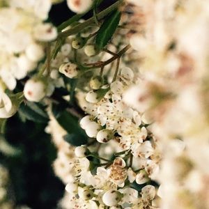 Meet your Posher, Sofia