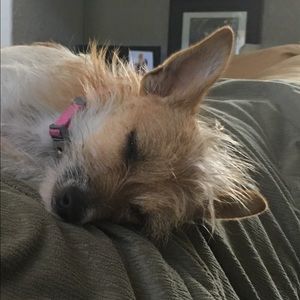 Meet your Posher, Melanie