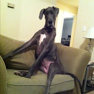 Meet your Posher, Katelyn