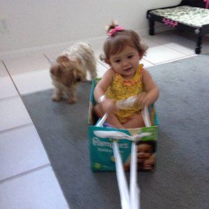 Meet your Posher, Hazel