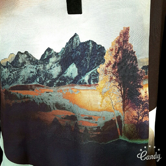 Cynthia Vincent Scenery Top - Picture 3 of 3