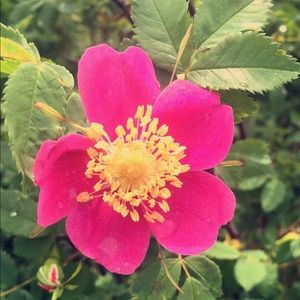 Meet your Posher, Ebrianna