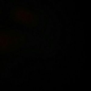 Meet your Posher, Brittney