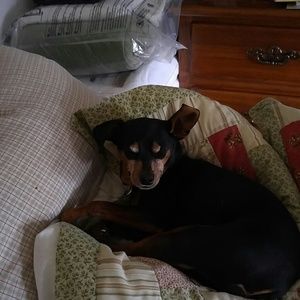 Meet your Posher, Linda