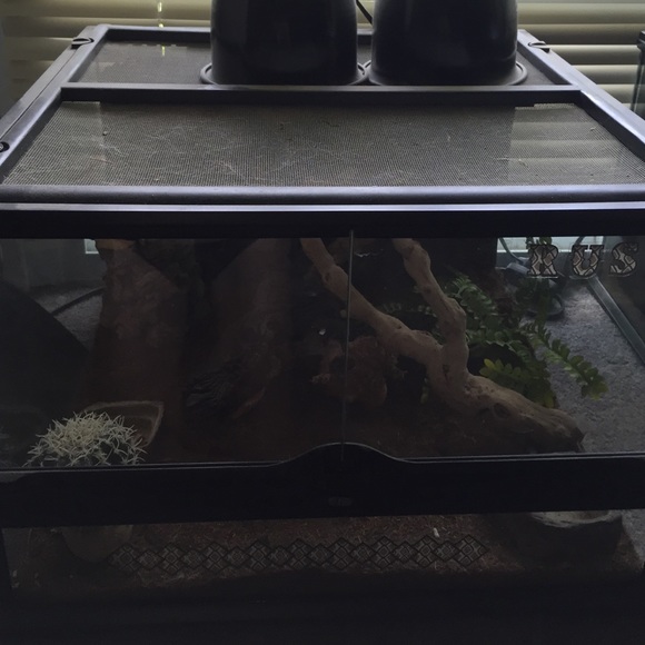 Reptile terrarium. Comes with everything u need