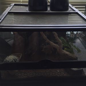 Reptile terrarium. Comes with everything u need