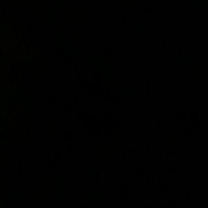 Meet your Posher, Nieves