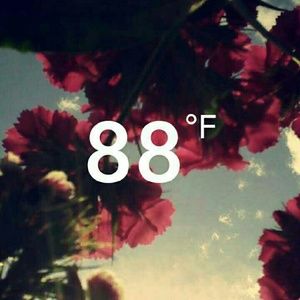 Meet your Posher, Marianna