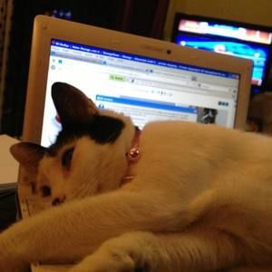 Meet your Posher, Burcu