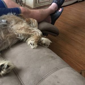 Meet your Posher, Kathy