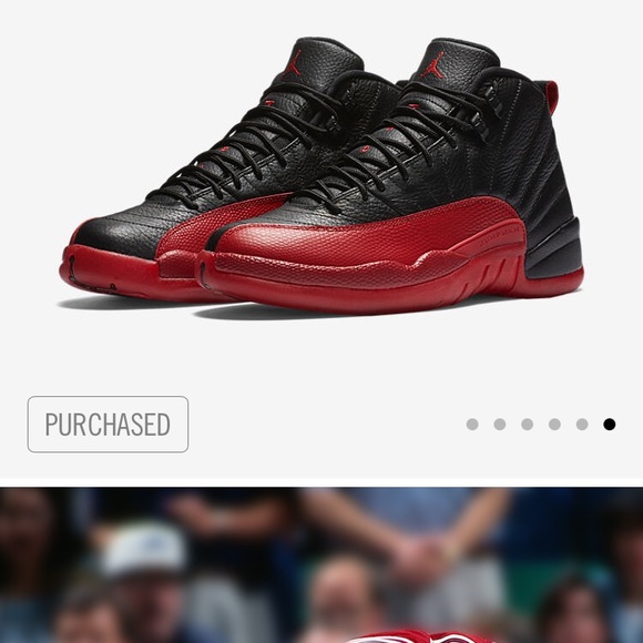 Air Jordan 12s Greatness overcomes - Picture 4 of 4
