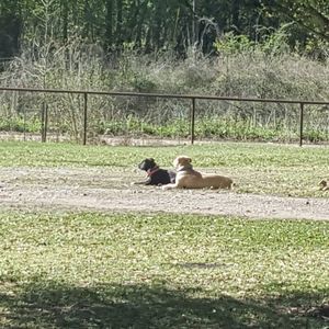 Meet your Posher, Anne marie