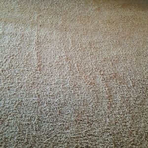 Meet your Posher, Jana