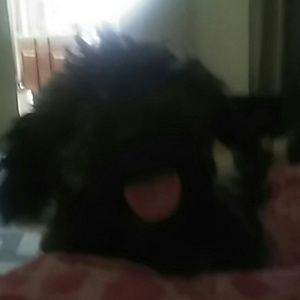 Meet your Posher, Sandra