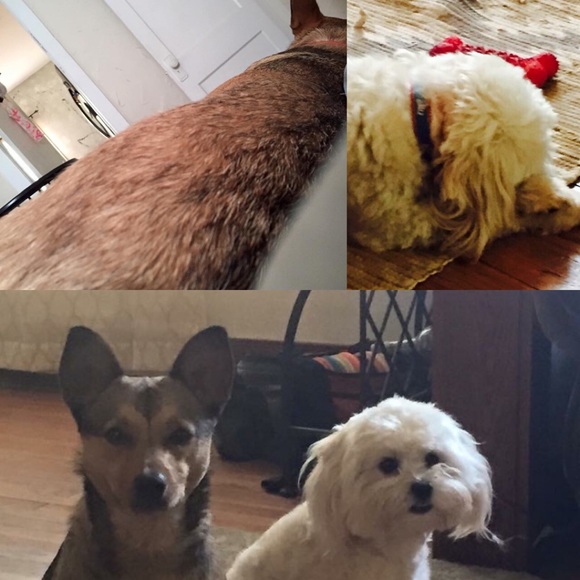 Hello and welcome to my closet! - Picture 4 of 4