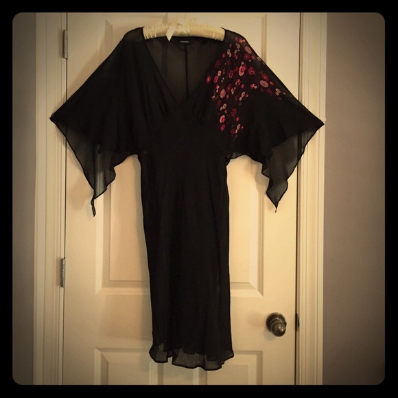 Sheer Shirt Dress