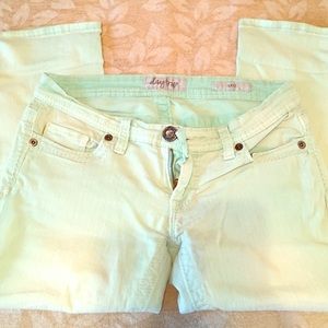 Daytrip Leo mint Capri