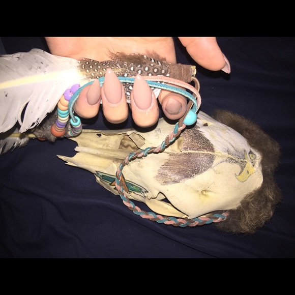 Meet your Posher, Maddy - Picture 2 of 2