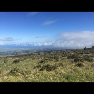 Meet your Posher, Nahal