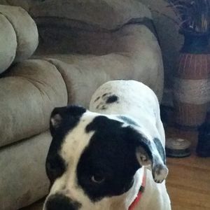 Meet your Posher, Juanita