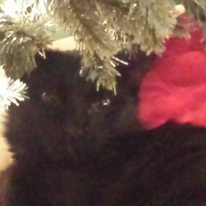 Meet your Posher, Shana