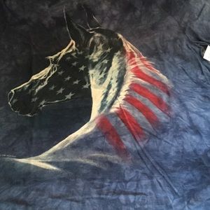 Image result for July 4th horses