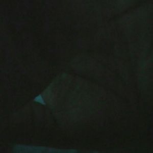 Meet your Posher, Tazia