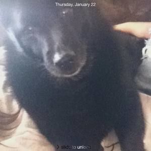 Meet your Posher, Lynn