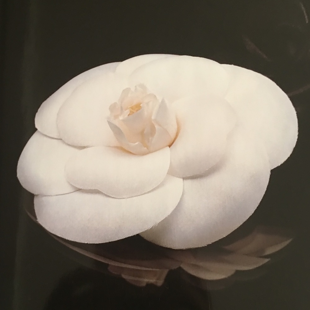 Meet your Posher, Karaine