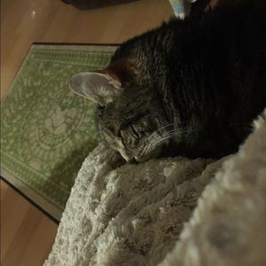 Meet your Posher, Tracy