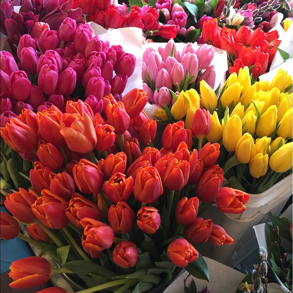 Meet your Posher, Alexis