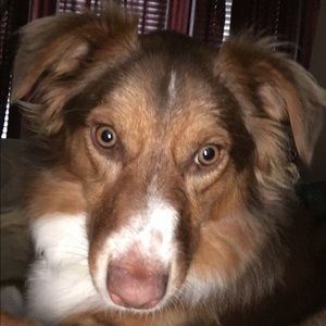 Meet your Posher, Layne