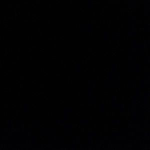 Meet your Posher, Abbey