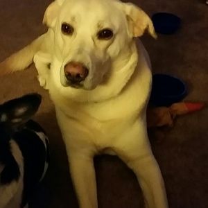 Meet your Posher, Regina