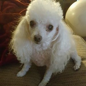 Meet your Posher, Charese