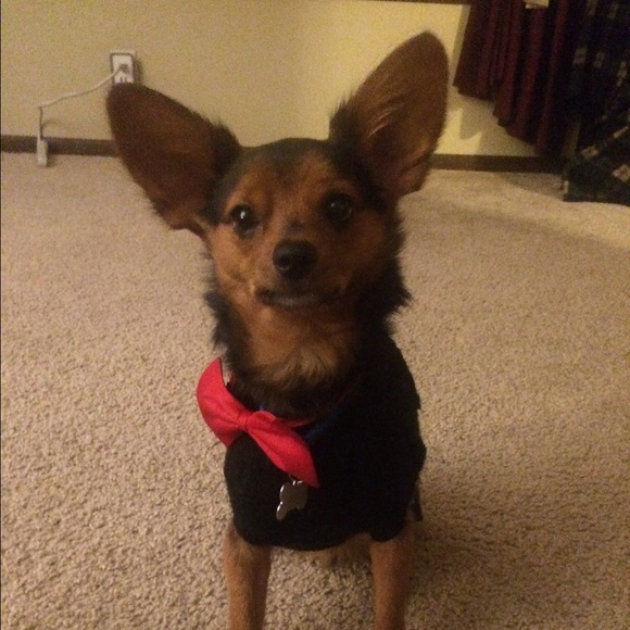 Meet your Posher, Amber