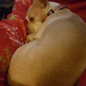 Meet your Posher, Renee