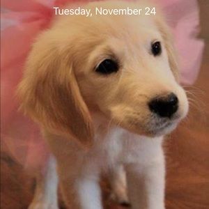 Meet your Posher, Linda