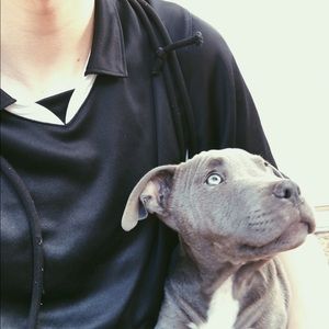 Meet your Posher, Dylan