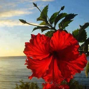 Meet your Posher, Elda