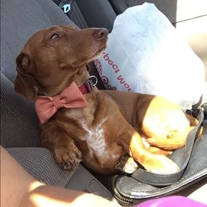 Meet your Posher, David