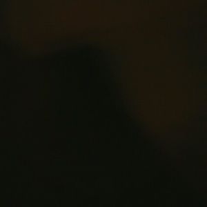 Meet your Posher, Edith